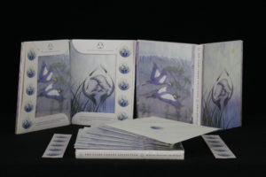 Crane Stationary by Clare Cooley